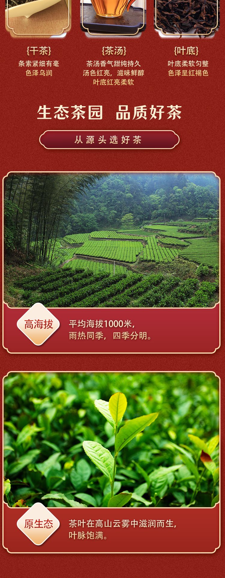 西兰卡普红罐详情页_03.jpg
