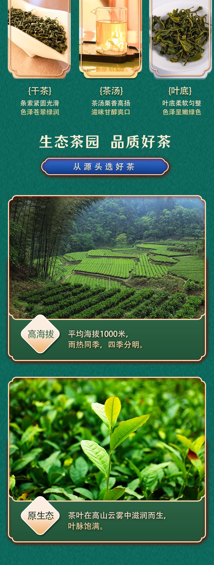 西兰卡普绿罐详情页_03.jpg