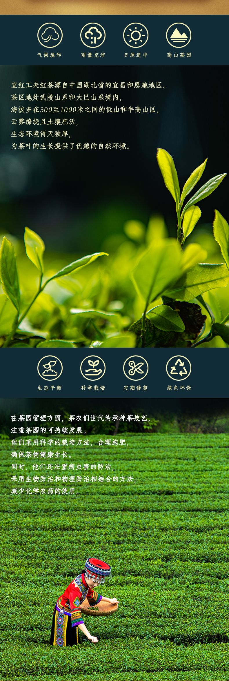 飞天详情页_06.jpg